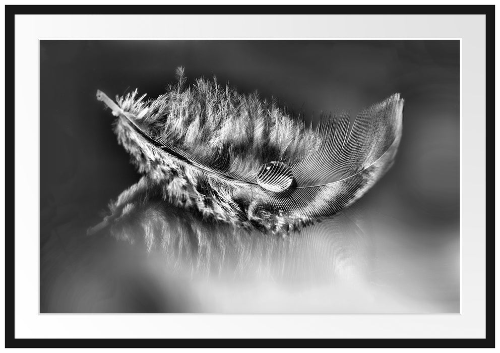 Pixxprint Wassertropfen auf Feder, im Galerie-Passepartout Bilderrahmen