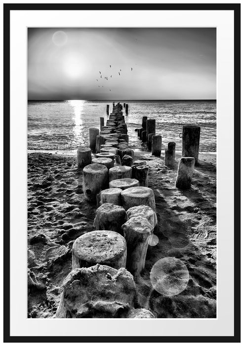 Pixxprint Baumstümpfe am Meer, im Galerie-Passepartout Bilderrahmen