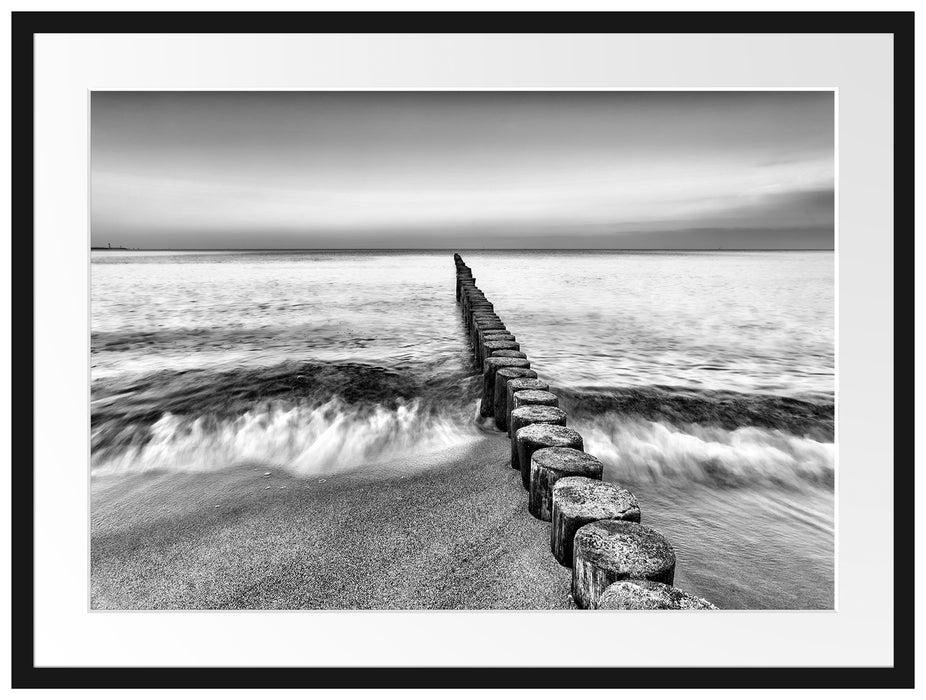 Baumstümpfe die ins Meer führen Passepartout 80x60