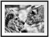 Verliebtes Löwenpaar Passepartout 80x60