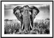 Imposanter Elefant Passepartout 100x70