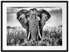 Imposanter Elefant Passepartout 80x60
