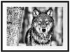 Wachsamer Wolf Passepartout 80x60