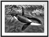 Orca im blauen Meer Passepartout 80x60