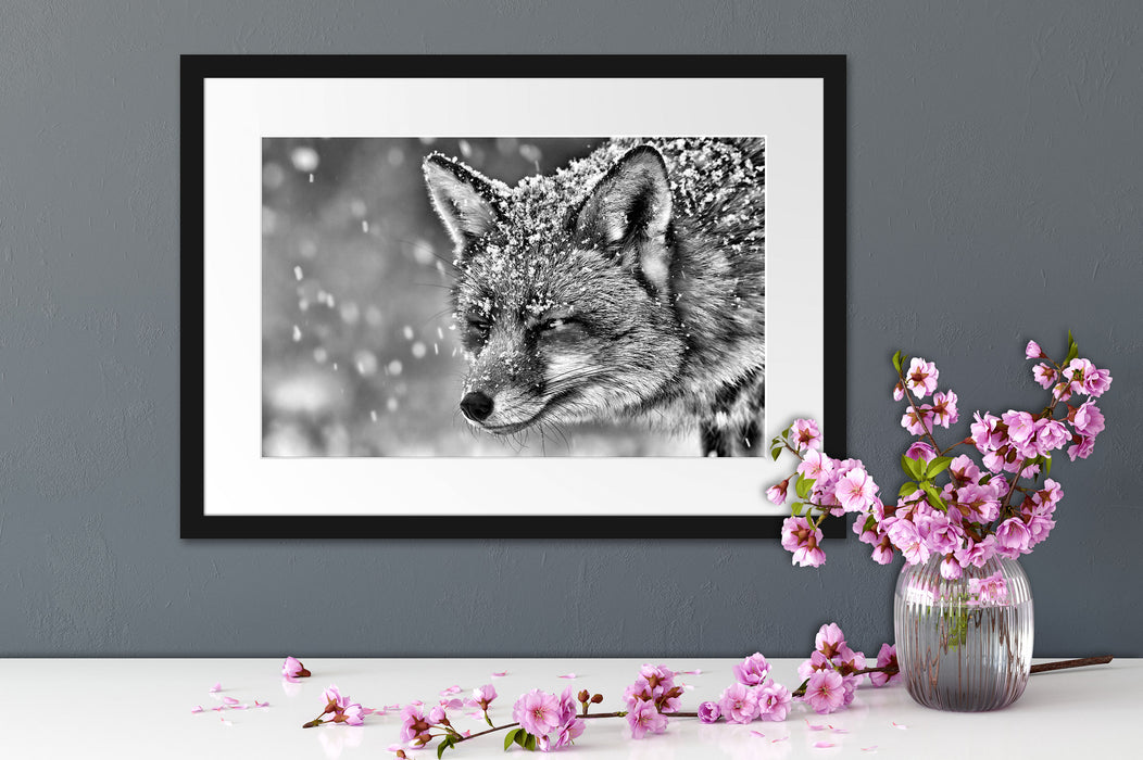 Fuchs im Schnee Passepartout Wohnzimmer