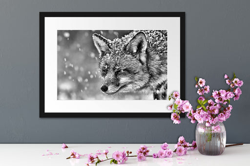 Fuchs im Schnee Passepartout Wohnzimmer