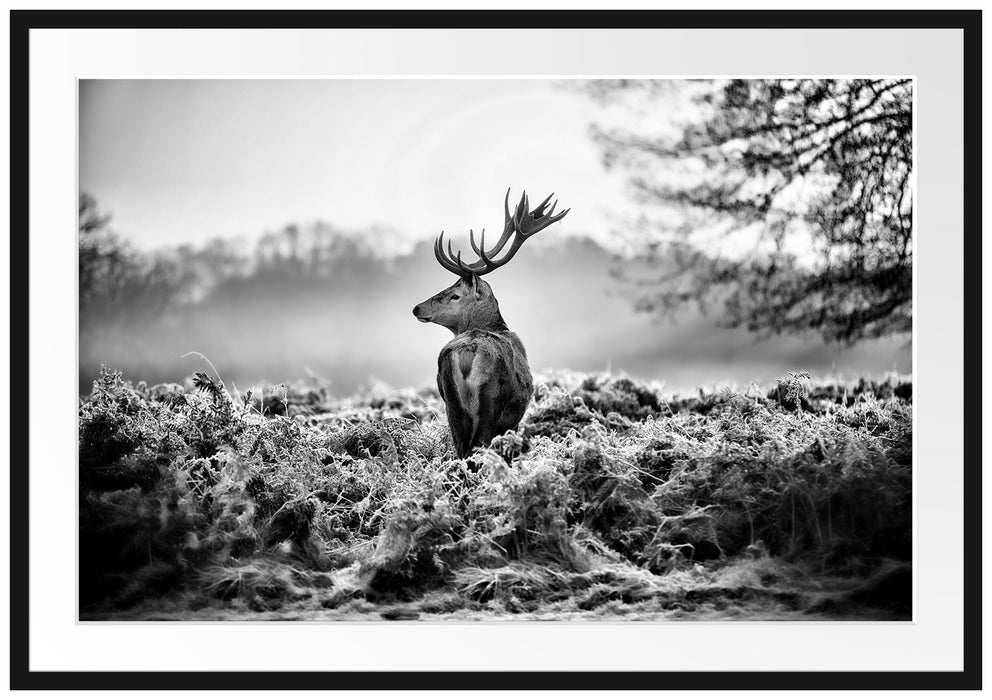 Pixxprint Stolzer Hirsch, im Galerie-Passepartout Bilderrahmen