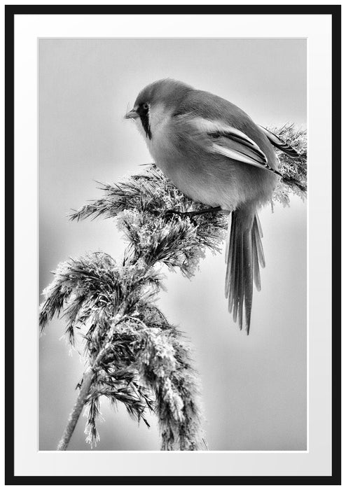 Vogel auf Weizen im Winter Passepartout 100x70