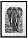 große wandernde Elefantenhorde Passepartout 55x40