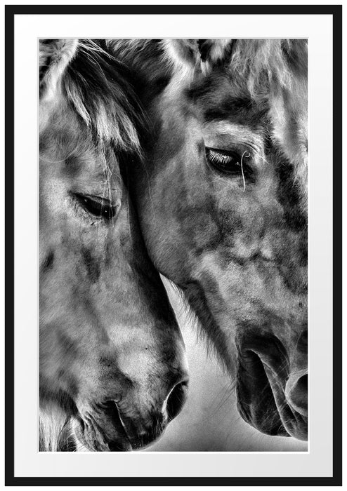 Pixxprint zwei liebevolle Pferde, im Galerie-Passepartout Bilderrahmen