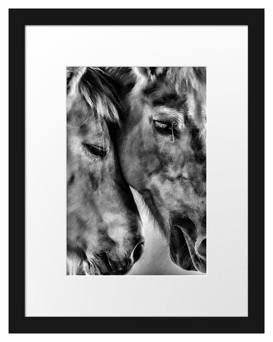 zwei liebevolle Pferde Passepartout 38x30
