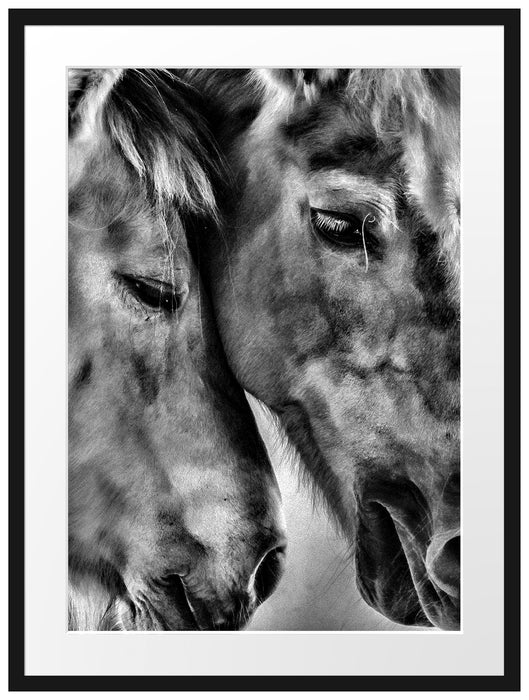 zwei liebevolle Pferde Passepartout 80x60