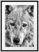 wunderschöner Polarwolf Passepartout 80x60