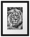 majestätischer Löwe auf Stein Passepartout 38x30