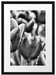 Tulpen mit Morgentau Passepartout 55x40