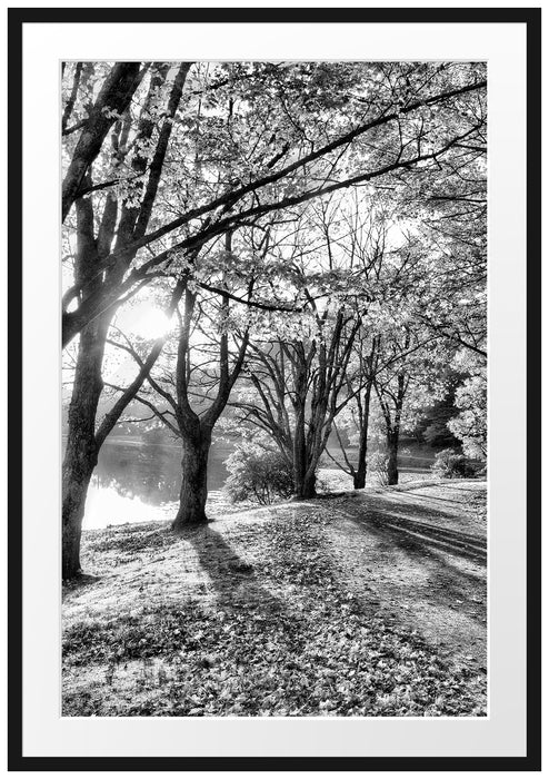 Pixxprint Sonniger Park am See, im Galerie-Passepartout Bilderrahmen