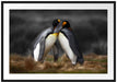 Pinguine in der Antarktis Passepartout 100x70
