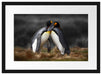 Pinguine in der Antarktis Passepartout 55x40