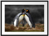 Pinguine in der Antarktis Passepartout 80x60