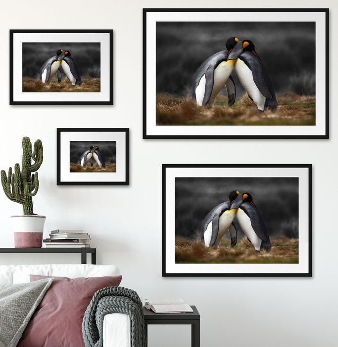Pinguine in der Antarktis Passepartout Dekovorschlag