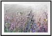 Schmetterlinge auf Lavendelblumen Passepartout 100x70
