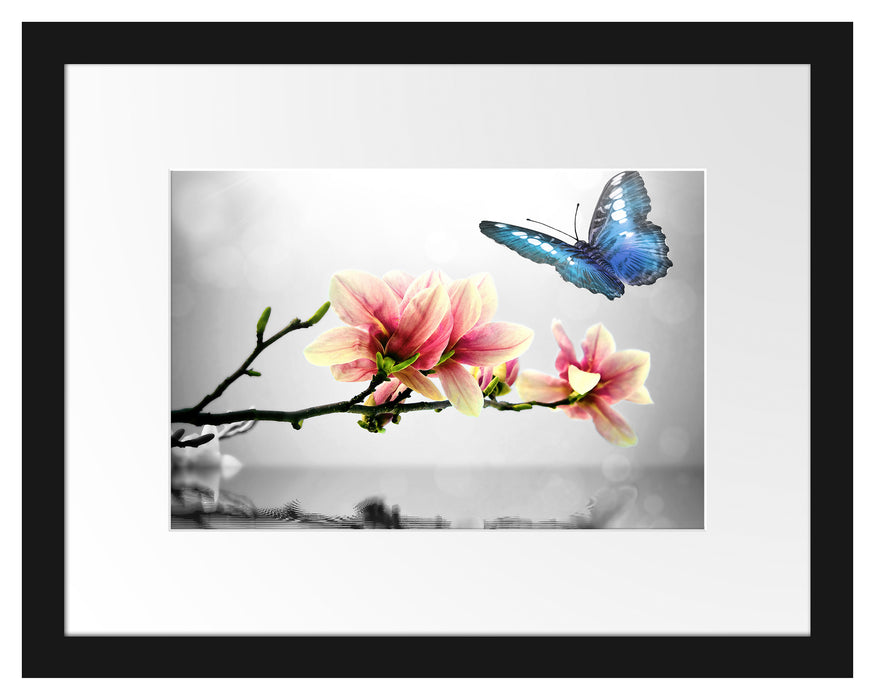 Schmetterling mit Magnolien-Blüte Passepartout 38x30