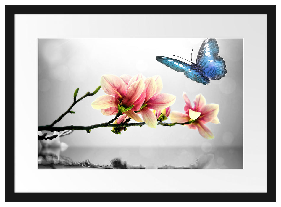 Schmetterling mit Magnolien-Blüte Passepartout 55x40