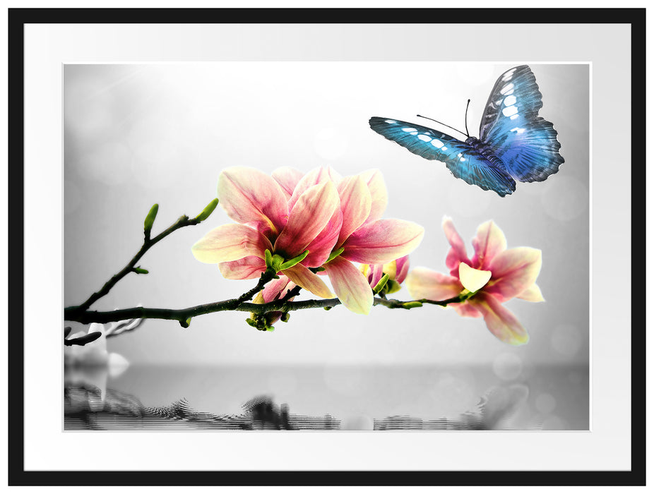Schmetterling mit Magnolien-Blüte Passepartout 80x60