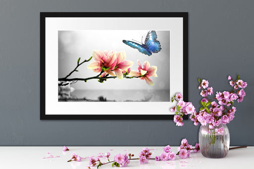 Schmetterling mit Magnolien-Blüte Passepartout Wohnzimmer