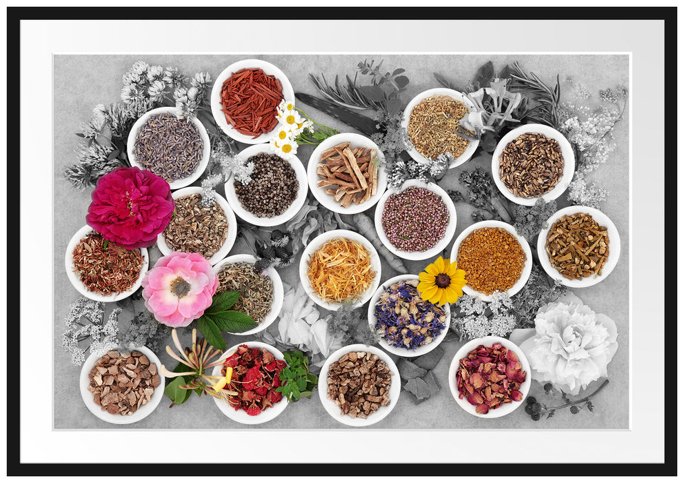 Pixxprint Heilende Kräuter und Blumen, im Galerie-Passepartout Bilderrahmen