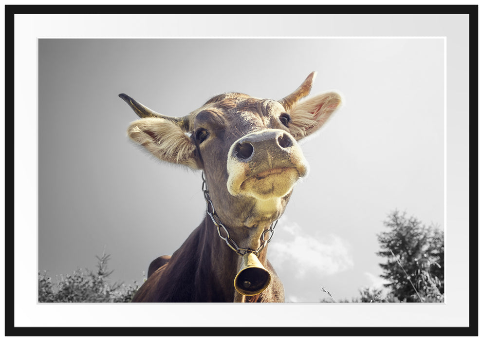 Pixxprint Lustiges Portrait einer Kuh, im Galerie-Passepartout Bilderrahmen