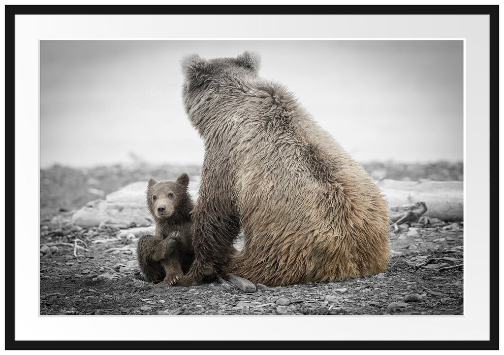 Pixxprint Bär mit Baby nach dem Baden, im Galerie-Passepartout Bilderrahmen
