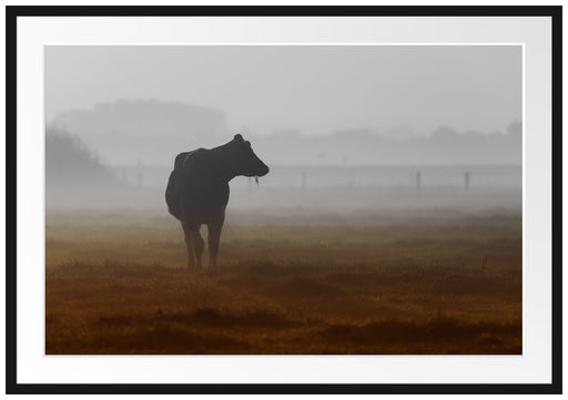 eine fressende Kuh auf der Weide Passepartout 100x70