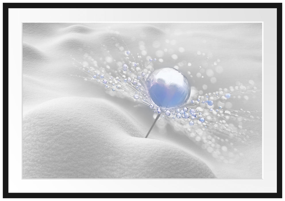 Pixxprint Tautropfen Pusteblume, im Galerie-Passepartout Bilderrahmen