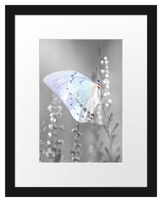 Schmetterling auf Blütenknospen Passepartout 38x30