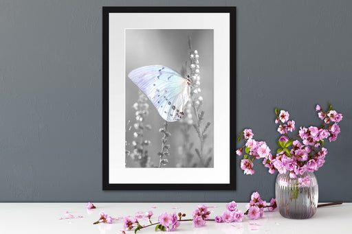 Schmetterling auf Blütenknospen Passepartout Wohnzimmer