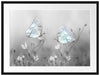Schmetterling auf kleinen Blumen Passepartout 80x60