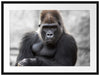 gelangweilter Gorilla Passepartout 80x60