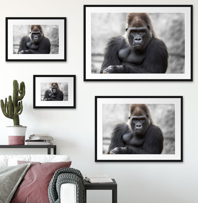 gelangweilter Gorilla Passepartout Dekovorschlag