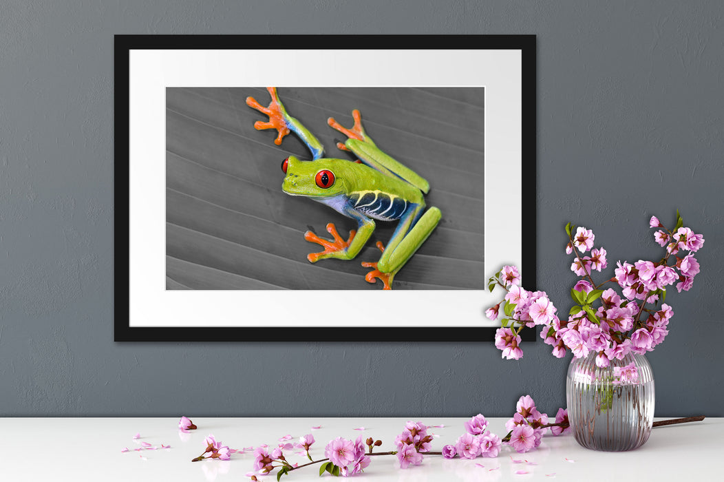 kleiner grüner Frosch auf Blatt Passepartout Wohnzimmer
