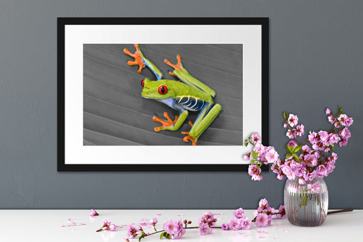 kleiner grüner Frosch auf Blatt Passepartout Wohnzimmer