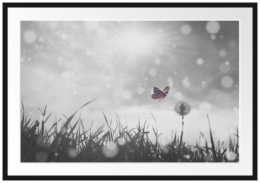 Schmetterling fliegt zu Pusteblume Passepartout 100x70