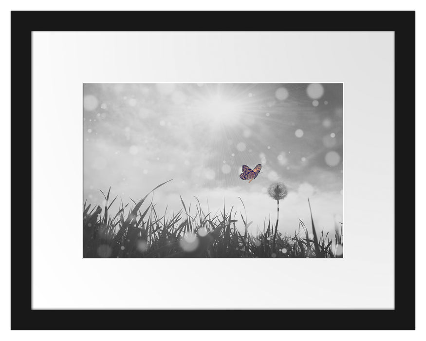 Schmetterling fliegt zu Pusteblume Passepartout 38x30