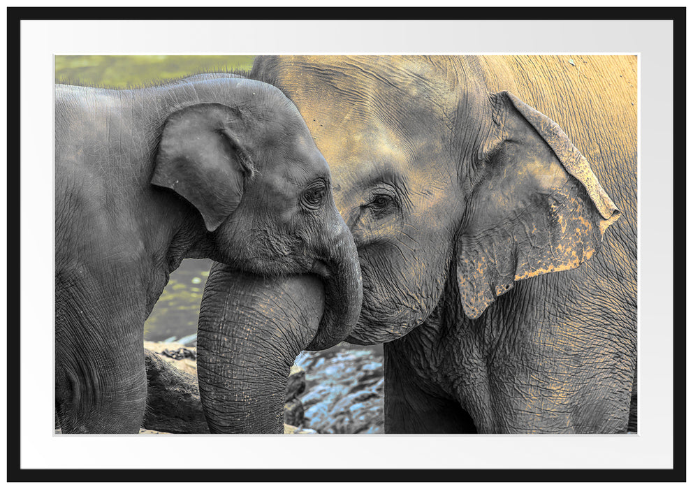 Elefantenmutter mit Kalb Passepartout 100x70
