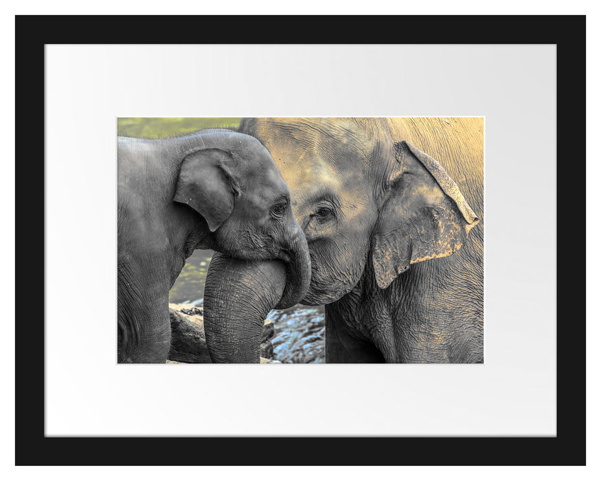 Elefantenmutter mit Kalb Passepartout 38x30