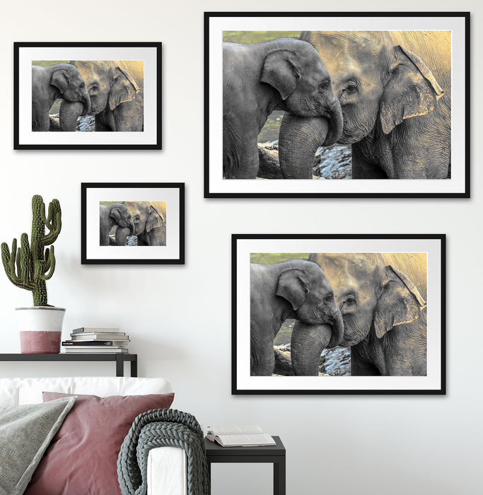 Elefantenmutter mit Kalb Passepartout Dekovorschlag