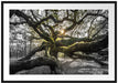 gigantisch verzweigter Baum Passepartout 100x70