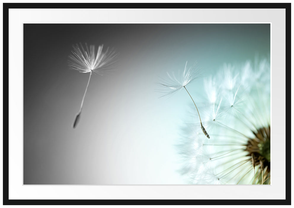 Pixxprint Löwenzahn Pusteblume, im Galerie-Passepartout Bilderrahmen