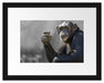 Aufmerksamer Schimpanse Passepartout 38x30