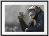 Aufmerksamer Schimpanse Passepartout 80x60